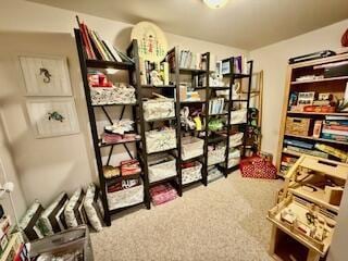 1330 Harvest Cir, Holmen, WI 54636 - view of storage room