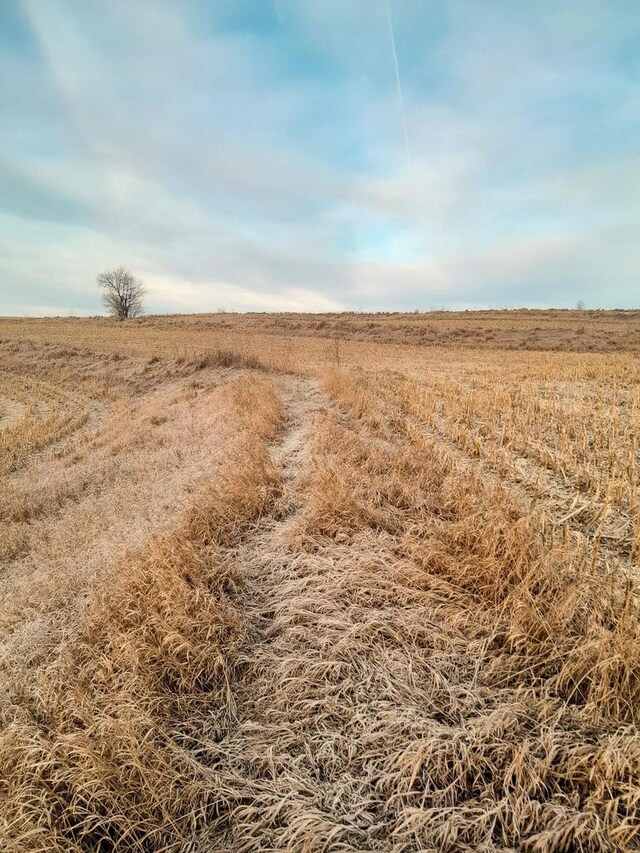 70ACRES Fairground Rd, Bloomington, WI 53804