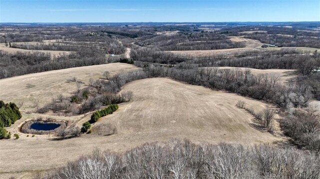 N30732 Square Bluff Rd, Blair, WI 54616 - drone / aerial view with a rural view