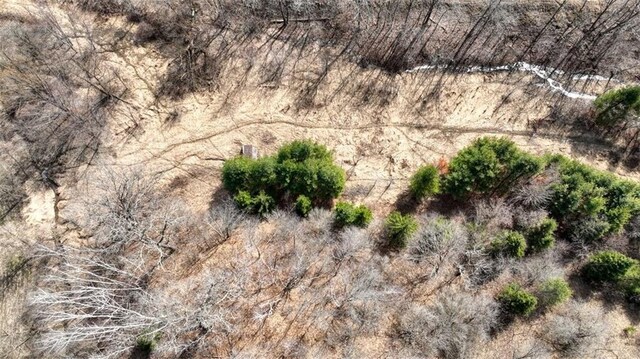 N30732 Square Bluff Rd, Blair, WI 54616 - birds eye view of property