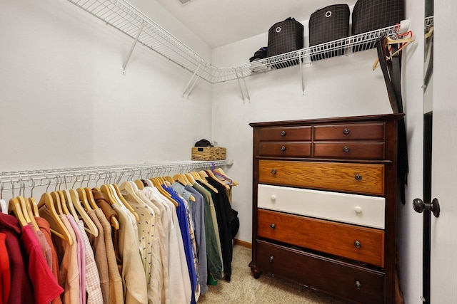 spacious closet featuring light colored carpet