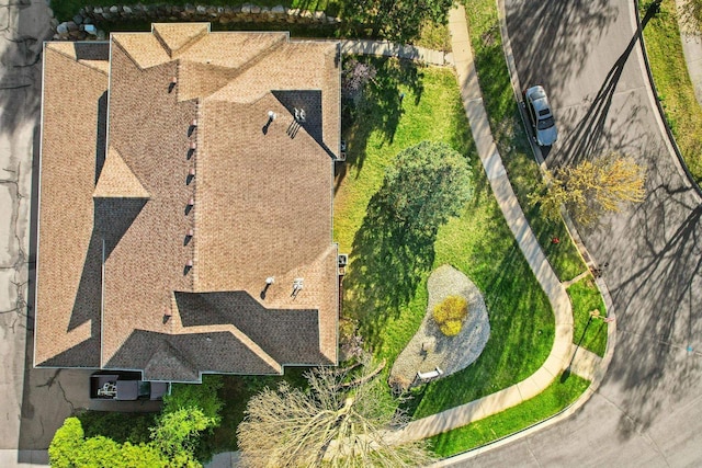 bird's eye view