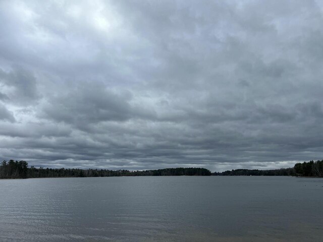 1487 Gunlock Shores Ln, Minocqua, WI 54548 - view of water feature