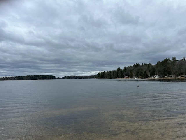 1487 Gunlock Shores Ln, Minocqua, WI 54548 - water view featuring a forest view