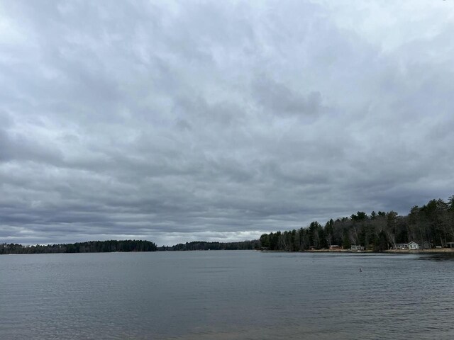 1487 Gunlock Shores Ln, Minocqua, WI 54548 - water view featuring a forest view