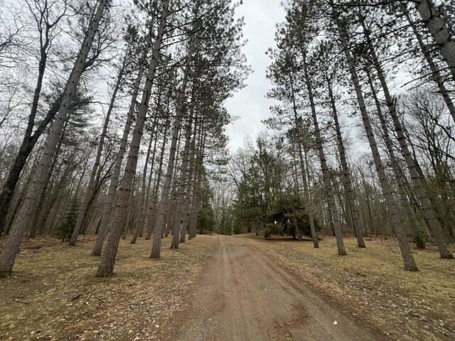 1487 Gunlock Shores Ln, Minocqua, WI 54548 - view of street featuring a forest view