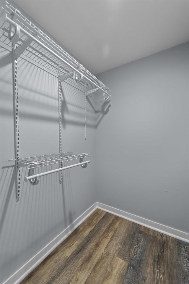 walk in closet with dark wood-type flooring