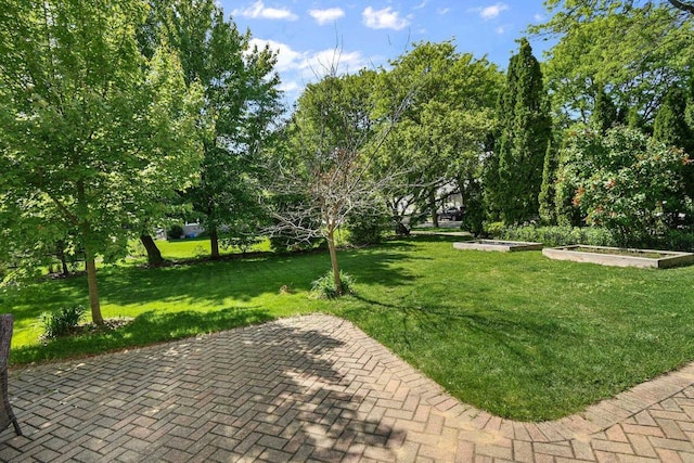 2 Oak Glen Ct, Madison, WI 53717 - view of green lawn featuring a garden