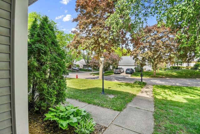 2 Oak Glen Ct, Madison, WI 53717 - view of grassy yard