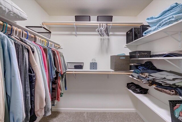 4062 Red Hawk Run, Black Earth, WI 53515 - walk in closet with carpet flooring