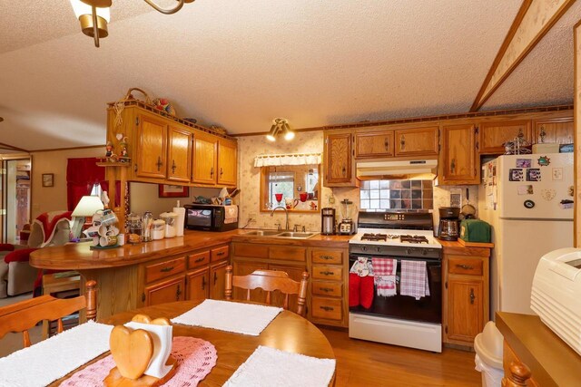 1600 Hornet Trl, Nekoosa, WI 54457 - kitchen with white appliances, a textured ceiling, under cabinet range hood, a sink, and brown cabinets