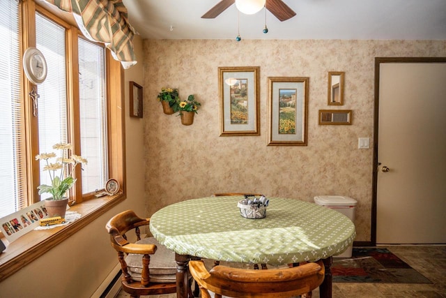 W5384 25th St, Necedah, WI 54646 - dining space with a wealth of natural light and ceiling fan