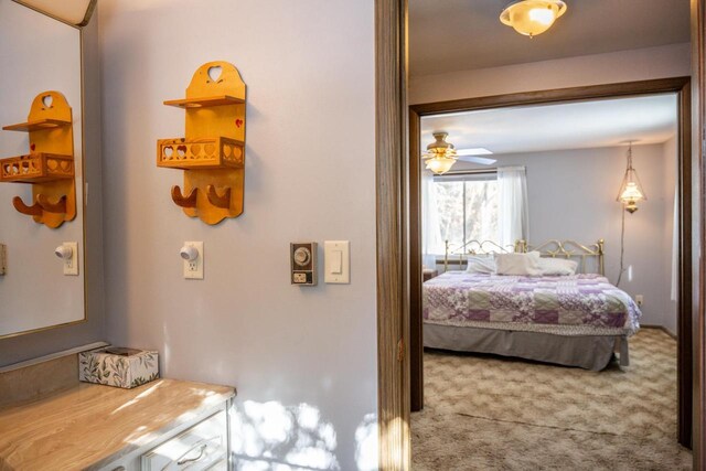 W5384 25th St, Necedah, WI 54646 - bedroom with carpet floors