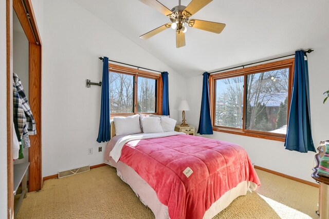 29323 Riverview Ln, Waterford, WI 53185 - bedroom with light carpet, visible vents, multiple windows, and vaulted ceiling