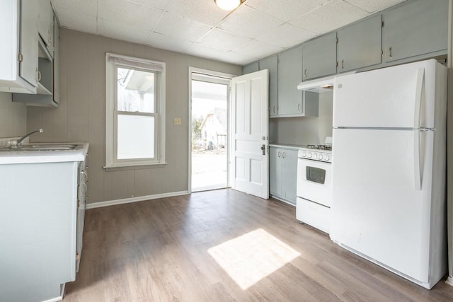 kitchen with a sink, light countertops, white appliances, and wood finished floors