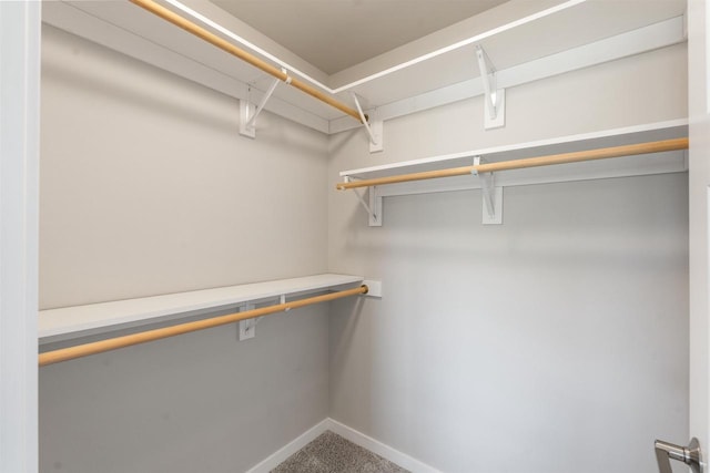 spacious closet with carpet flooring