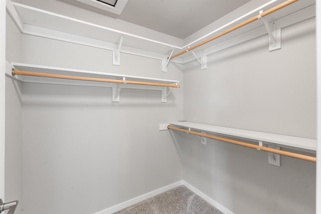 spacious closet with carpet floors