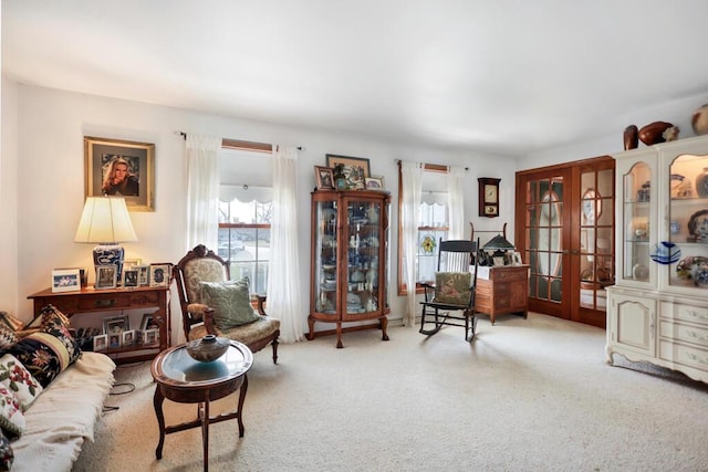 4530 Bleser Ct, Manitowoc, WI 54220 - living area featuring french doors, plenty of natural light, and carpet flooring