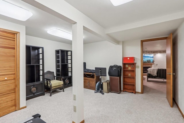 office featuring carpet