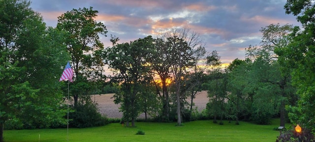 30847 Sun Ct, Burlington, WI 53105 - view of yard at dusk