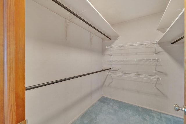 12606 234th Ave, Trevor, WI 53179 - view of walk in closet