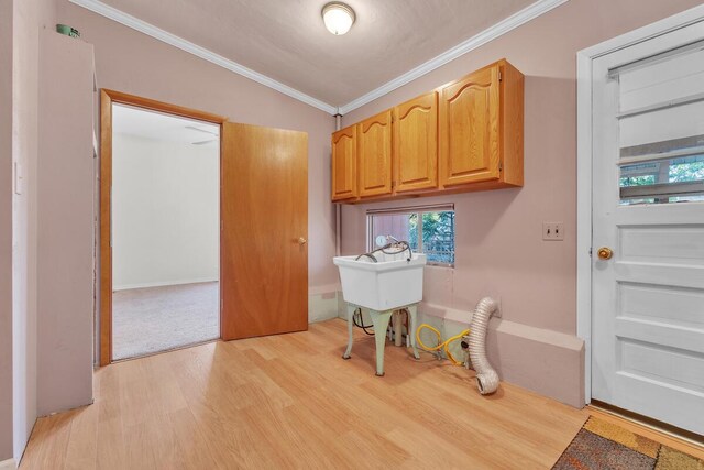 12606 234th Ave, Trevor, WI 53179 - laundry room with hookup for an electric dryer, light wood-type flooring, and ornamental molding