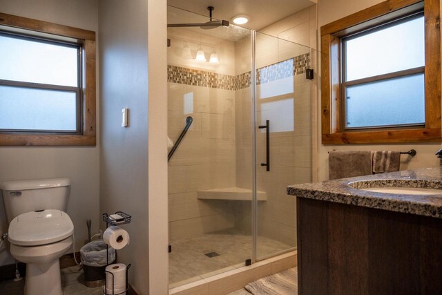 W5677 N Stone Gate Dr, New Lisbon, WI 53950 - full bathroom with toilet, a shower stall, vanity, and a healthy amount of sunlight