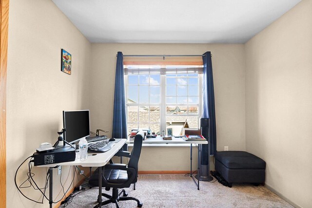 office space featuring carpet floors and baseboards