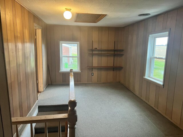 5169 Kratz Rd, Omro, WI 54963 - empty room with wooden walls, light colored carpet, and a healthy amount of sunlight