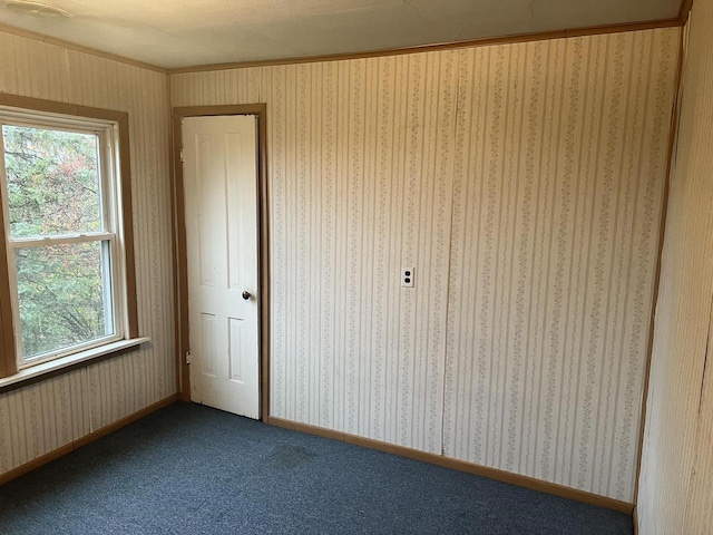 5169 Kratz Rd, Omro, WI 54963 - unfurnished bedroom with carpet flooring, multiple windows, and crown molding