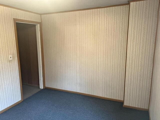 5169 Kratz Rd, Omro, WI 54963 - empty room featuring crown molding and carpet floors