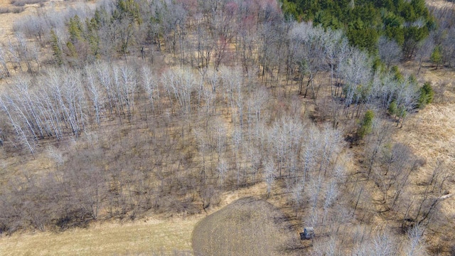 N302 24th Ave, Neshkoro, WI 54960 - aerial view