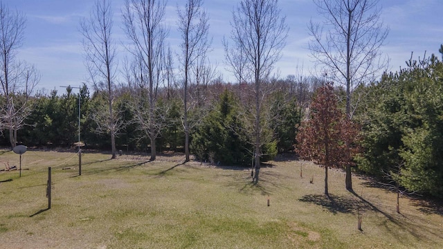 N302 24th Ave, Neshkoro, WI 54960 - view of grassy yard featuring a forest view