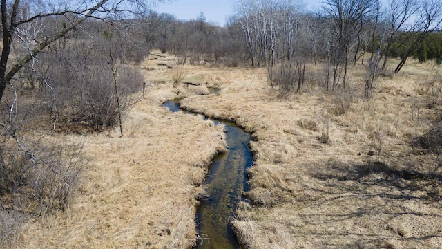 N302 24th Ave, Neshkoro, WI 54960 - view of local wilderness