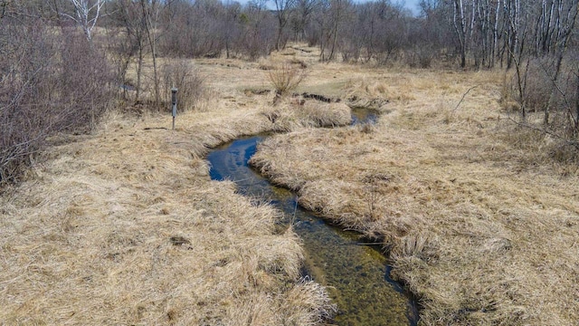 N302 24th Ave, Neshkoro, WI 54960 - view of undeveloped land