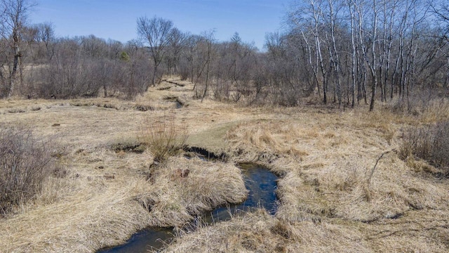 N302 24th Ave, Neshkoro, WI 54960 - view of nature