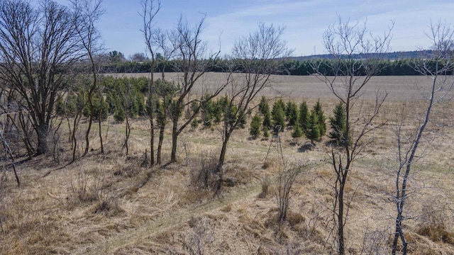 N302 24th Ave, Neshkoro, WI 54960 - water view featuring rural landscape