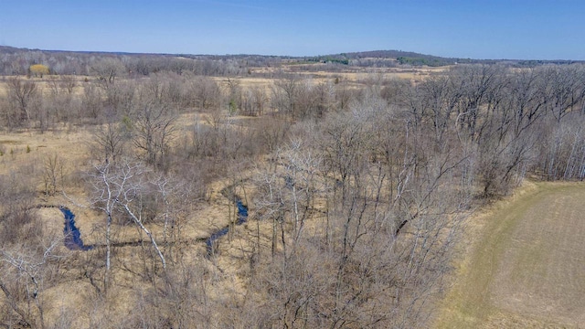 N302 24th Ave, Neshkoro, WI 54960 - view of mountain background