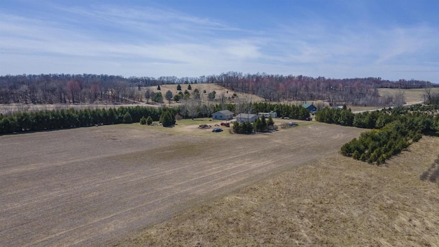 N302 24th Ave, Neshkoro, WI 54960 - drone / aerial view