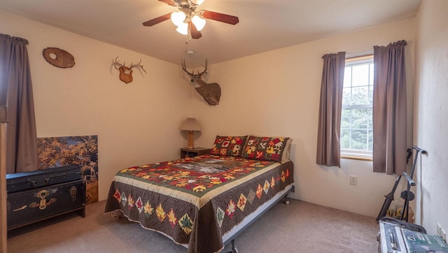 N302 24th Ave, Neshkoro, WI 54960 - bedroom with multiple windows, carpet floors, and a ceiling fan