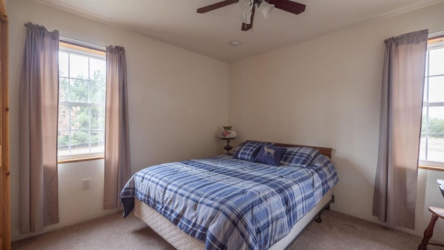 N302 24th Ave, Neshkoro, WI 54960 - carpeted bedroom featuring a ceiling fan