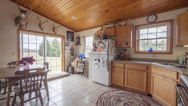N302 24th Ave, Neshkoro, WI 54960 - kitchen with freestanding refrigerator, lofted ceiling, light tile patterned flooring, a sink, and stove