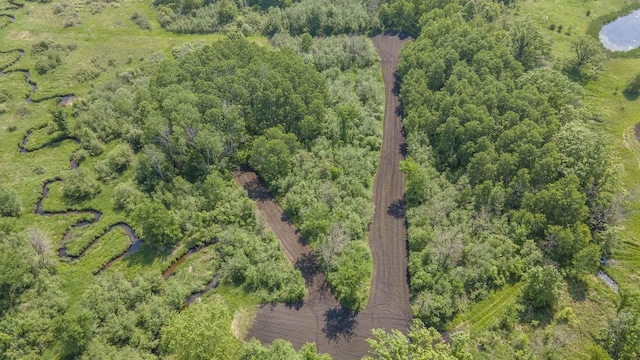 N302 24th Ave, Neshkoro, WI 54960 - aerial view of property's location