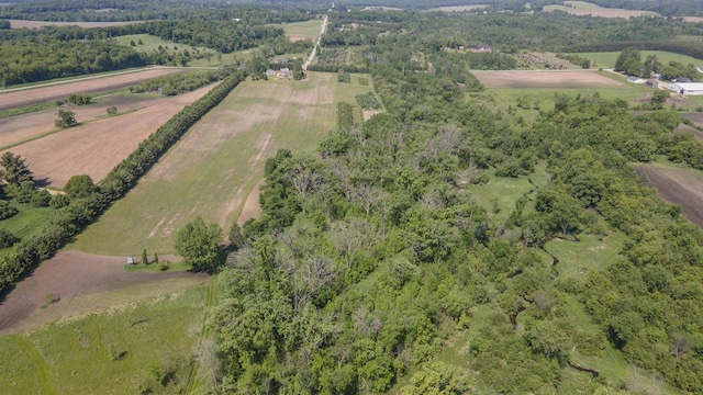 N302 24th Ave, Neshkoro, WI 54960 - aerial view of property's location featuring rural landscape and rows of crops