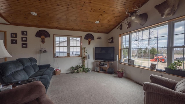 N302 24th Ave, Neshkoro, WI 54960 - carpeted living area with vaulted ceiling, wooden ceiling, and healthy amount of natural light