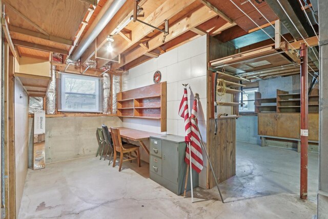 below grade area with a wealth of natural light