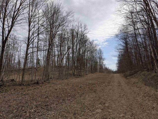 LOT2CSM786 State Highway 169, Mellen, WI 54546