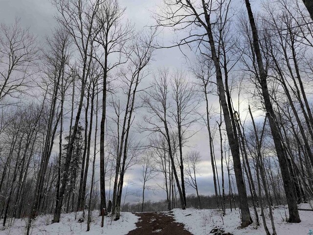 LOT2CSM786 State Highway 169, Mellen, WI 54546