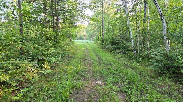 2984 Weirgor Rd, Exeland, WI 54835 - exterior space with a wooded view