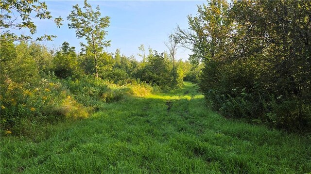 2984 Weirgor Rd, Exeland, WI 54835 - view of nature